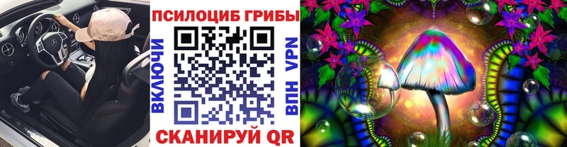 Псилоцибиновые грибы Psilocybe  Томилино 